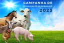Campanha de Atualização dos Rebanhos do Paraná se estenderá até 30 de junho