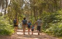 Prefeitura promove 10ª Caminhada na Natureza em setembro 