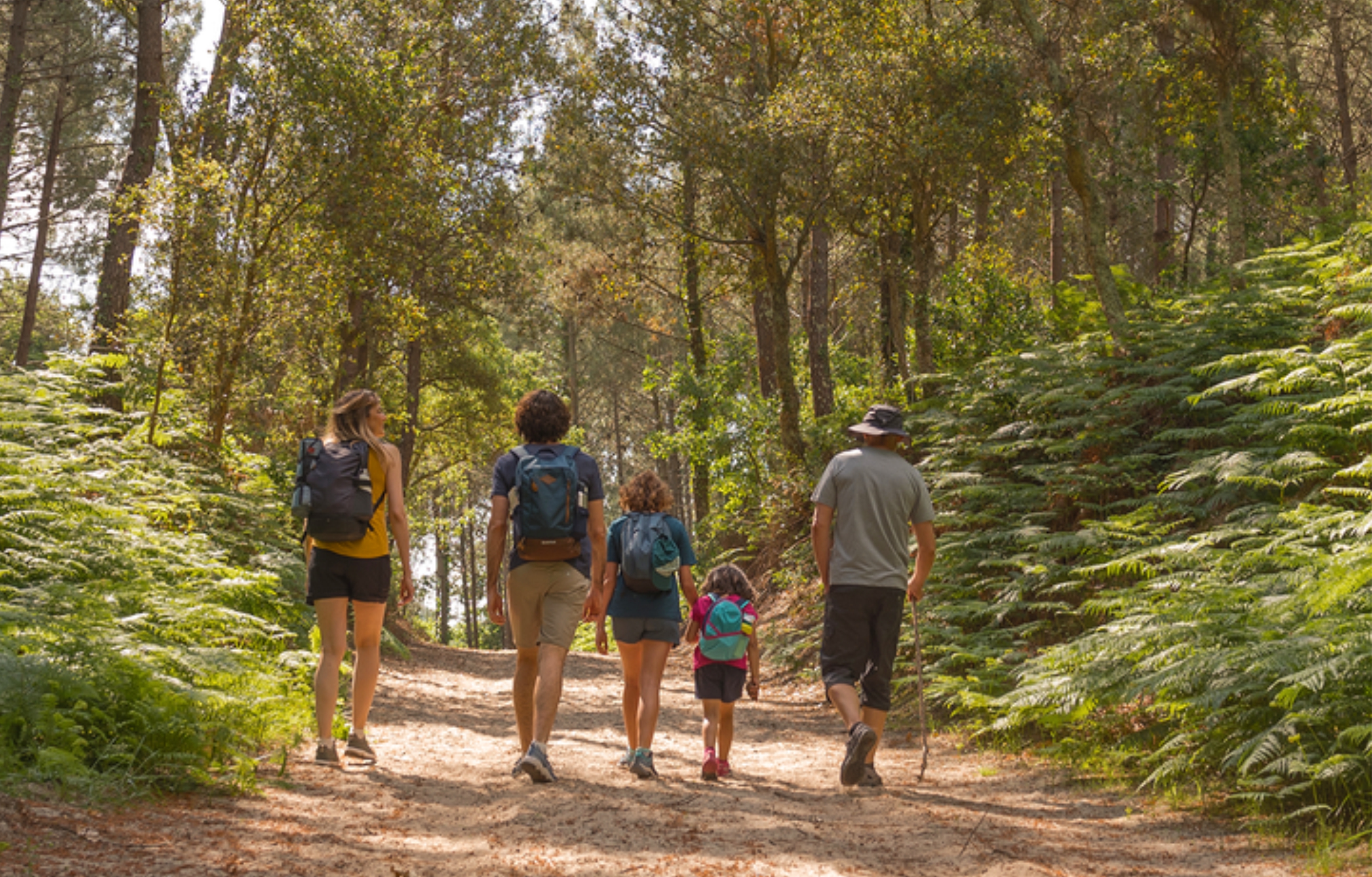 Prefeitura promove 10ª Caminhada na Natureza em setembro 